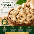 PRIDE Dried Ginger | 100% Natural Sukha Adrak | Premium Quality Dry Ginger Slices | No Preservatives | Strong Aroma | For Tea, Cooking & Herbal Use (100g)