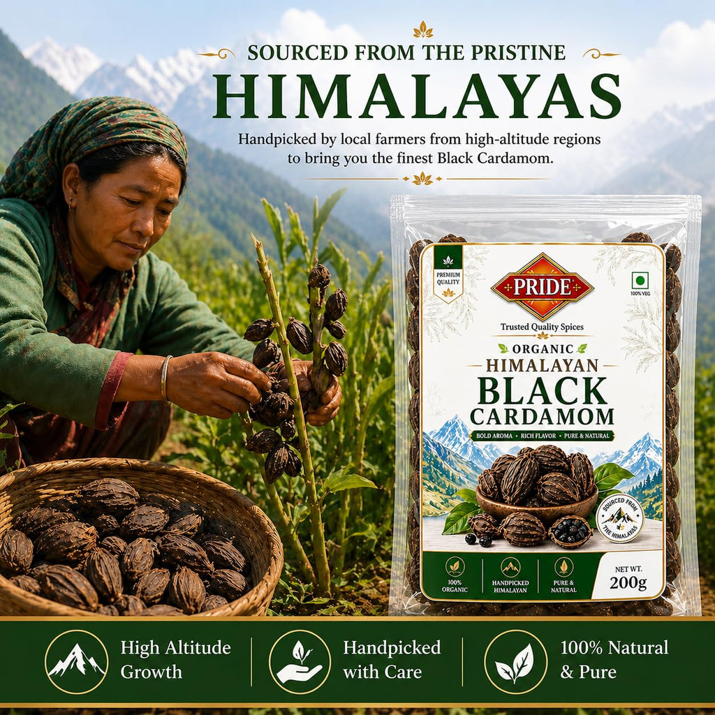 Pride Organic Himalayan Black Cardamom (Badi Elaichi) Whole | Premium Grade Handpicked Spice | Strong Aroma & Rich Flavor | Pure & Natural (100gms)