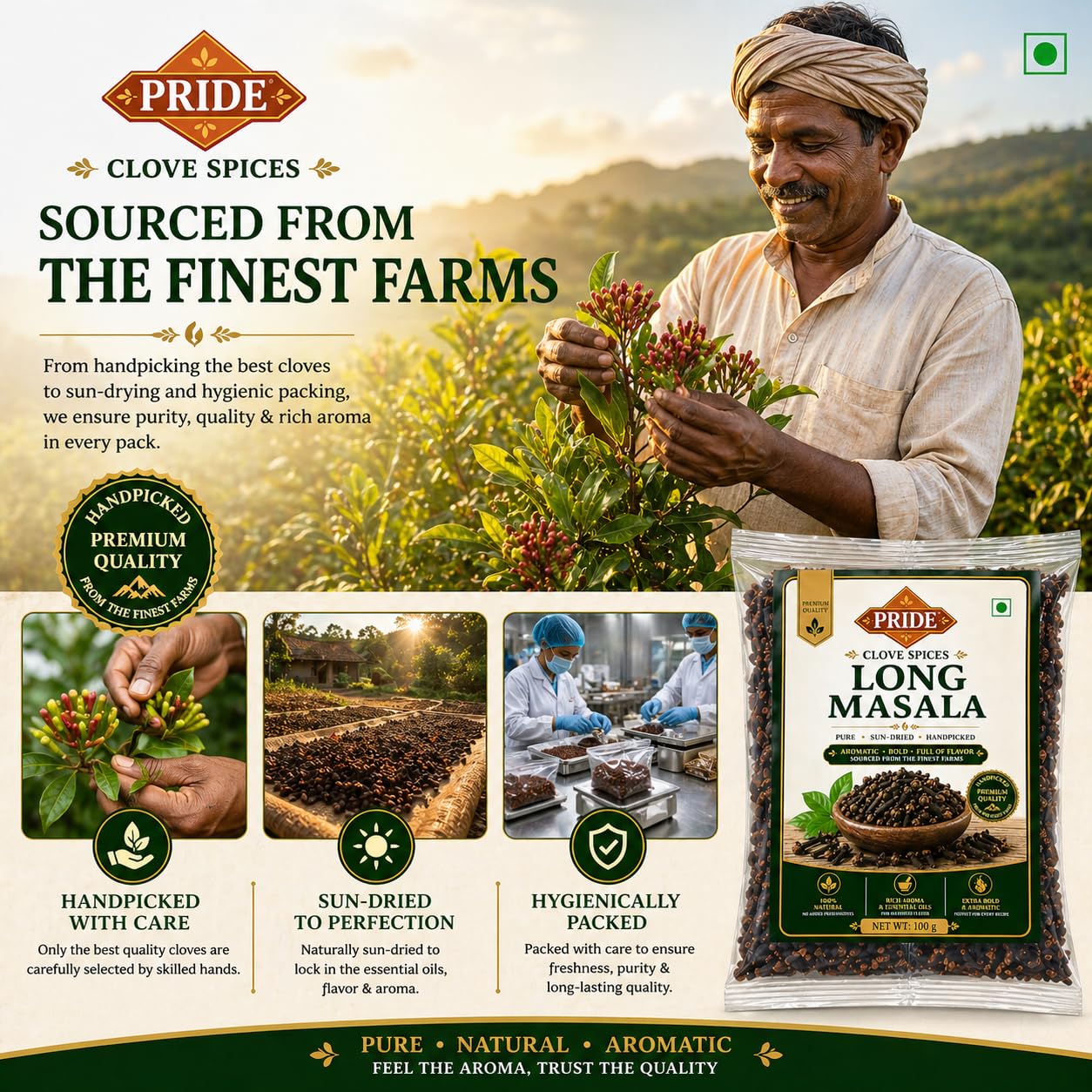 Pride Clove (Laung) Whole Spice | Premium Handpicked Long Masala | Strong Aroma & Essential Oils | 100% Natural, Sun-Dried Cloves for Cooking & Tea (100g)